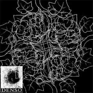 DENSO - 100501 / Insieme