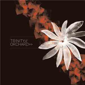 Trinity  - Orchard
