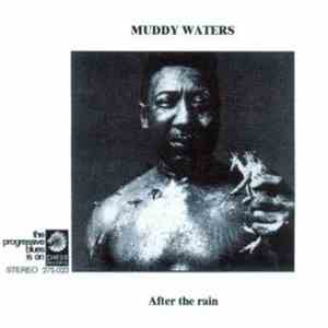 Muddy Waters - After The Rain