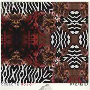 Ocelote Rojo - Pacarina