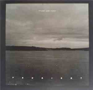 Prurient - Point And Void