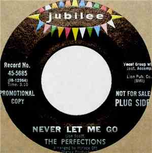 The Perfections - Never Let Me Go / And Then The Sun Went Down
