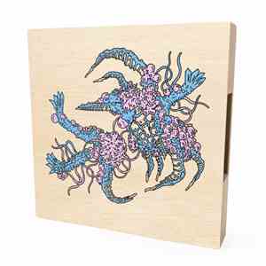 Various - 2015 Joyful Noise Flexi-Disc Series Limited Box Set