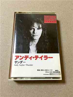 Andy Taylor - Thunder
