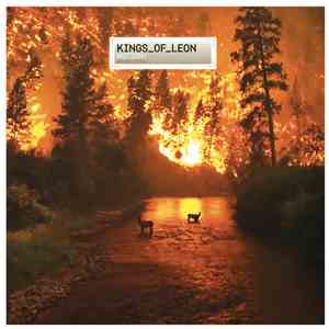 Kings Of Leon - Notion