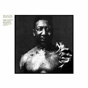 Muddy Waters - After The Rain