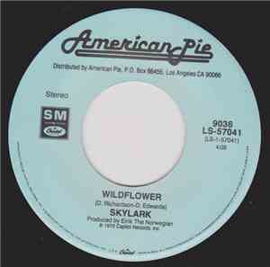 Skylark  / Missing Persons - Wildflower / Words