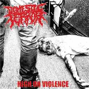 Domestic Terror - High On Violence