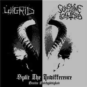 Wigrid / Sunshine & Lollipops - Split The Indifference (Geteilte Gleichgültigkeit)