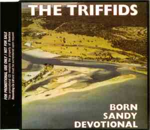 The Triffids - Born Sandy Devotional