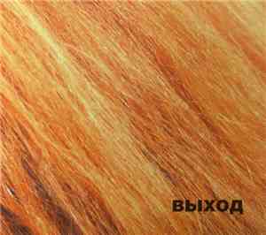 Выход - Рыжий Альбом