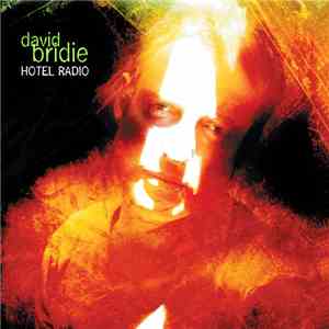 David Bridie - Hotel Radio