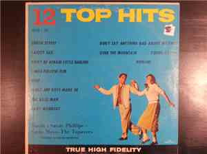 Don Raleigh & His Orchestra - 12 Top Hits