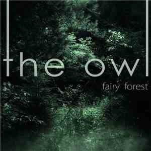 The Owl  - Fairy Forest