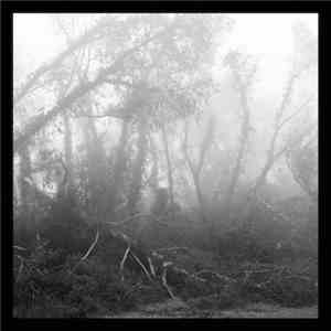 Eidetic Seeing - Against Nature