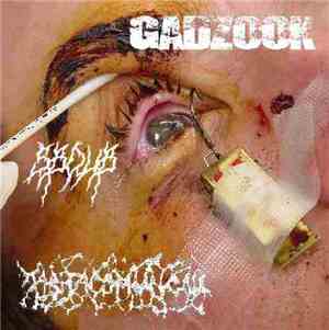 Gadzook - Sboub - Tabitacomungou - Je Dois Dans Ton Cul