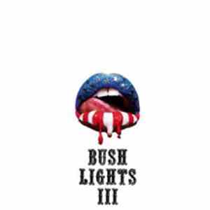 Bush Lights - III