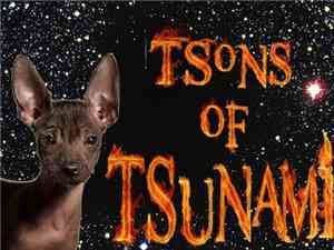 Tsons Of Tsunami - Fearless Riders of the Holy Curl