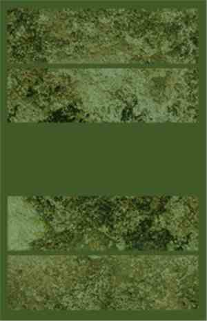 Benjamin Nelson - Two Rooms For Four Tones