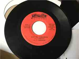 G.C. Cameron - Wait Till Tomorrow