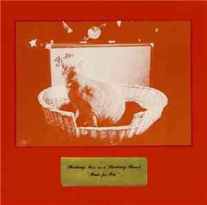 Shadowy Men On A Shadowy Planet - Music For Pets