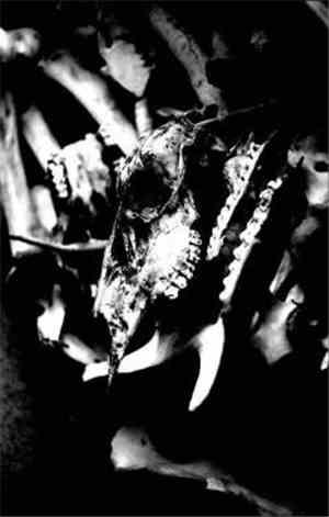 Abhorrot / Black Feast / Unholy Crucifix / Usurpateur - Abominations Of Darkness