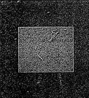 v. - l.a.55