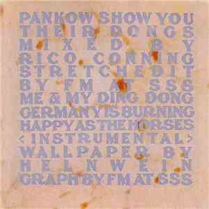 Pankow - Me & My Ding Dong