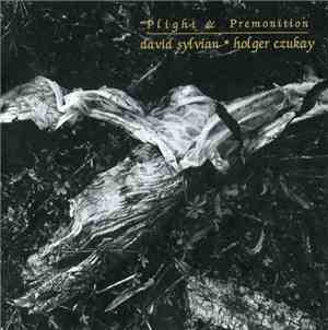 David Sylvian + Holger Czukay - Plight & Premonition