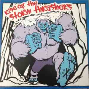 Ice Cold  - Rise Of The Storm Thrashers