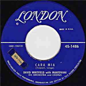 David Whitfield With Mantovani, His Orchestra And Chorus - Cara Mia / How, When Or Where