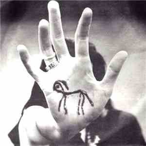 Distorted Pony - Concrete Bruises