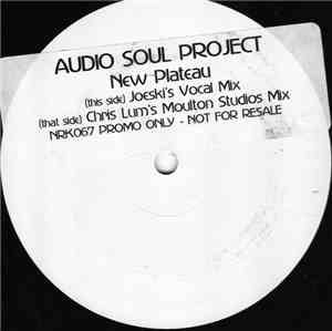 Audio Soul Project - New Plateau