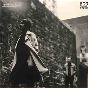 Boo Seeka - Never Too Soon
