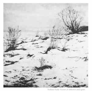 Nobuto Suda - Scenes Of Oblivion And Quiet