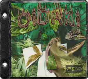 OiDAKi - 2nd Demo