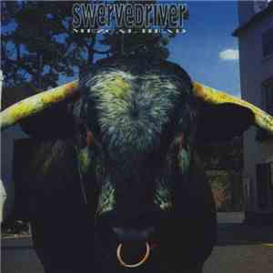 Swervedriver - Mezcal Head