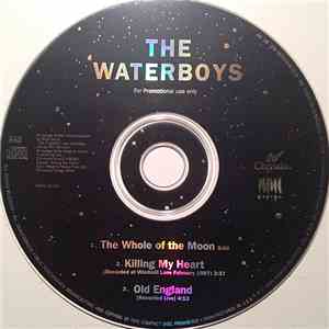 The Waterboys - The Whole Of The Moon