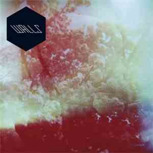 Walls  - Walls