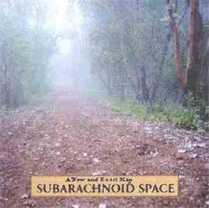 SubArachnoid Space - A New And Exact Map