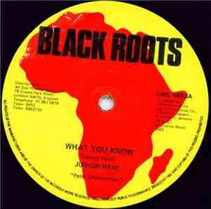 Junior Reid / Danny Dread - What You Know / Girl A Ginal