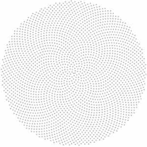 Martin Neukom - Studie 18