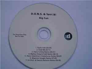 D.O.N.S. & Terri B! - Big Fun