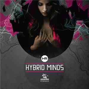 Hybrid Minds  - Hybrid Minds EP