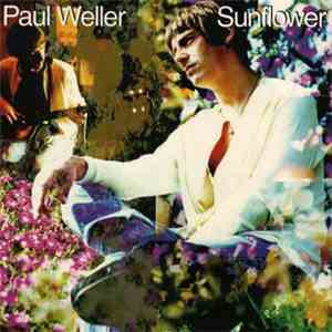 Paul Weller - Sunflower