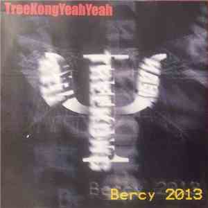 TreeKongYeahYeah - Bercy 2013