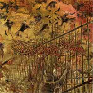 Daily Broken Dream - Freedoom