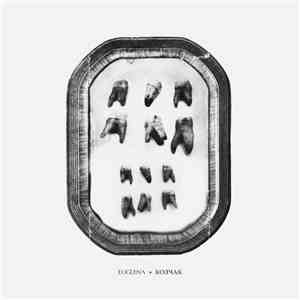 Euglena / Колчак - Split