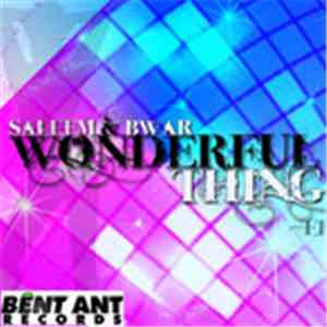 Saleem Razvi and B War - Wonderful Thing EP