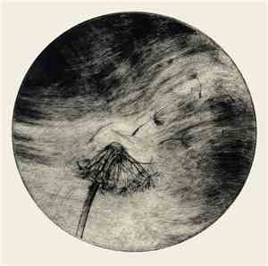 Scott Tuma - Dandelion